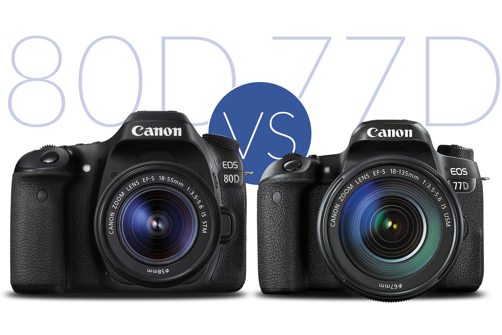 Tamron 17-70 vs Sony 18-135: Which one is BETTER for HIKING? 