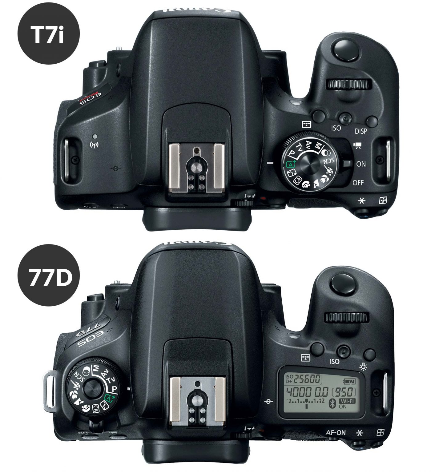 Canon T7i vs 77D Which Should You Buy? Light And Matter