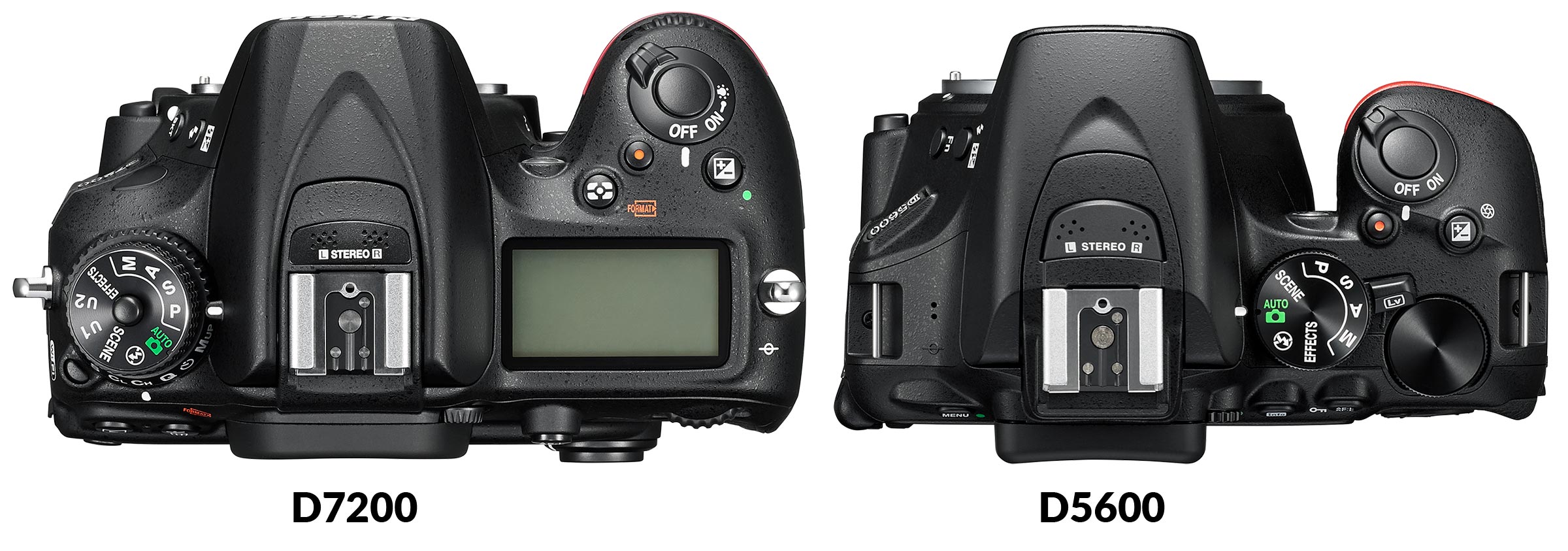 Nikon D5600 vs D7200: Which Should You Buy? - Light And Matter