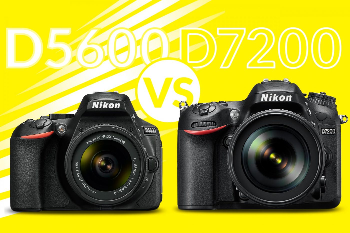 Bạn muốn tạo ra những bức ảnh đẹp với phông nền mờ? Nikon D5600 có tính năng chụp ảnh với phông nền mờ độc đáo, giúp cho cả chủ đề và nền được phân biệt rõ ràng. Bạn sẽ ấn tượng bởi độ chân thực và đẹp của ảnh. 