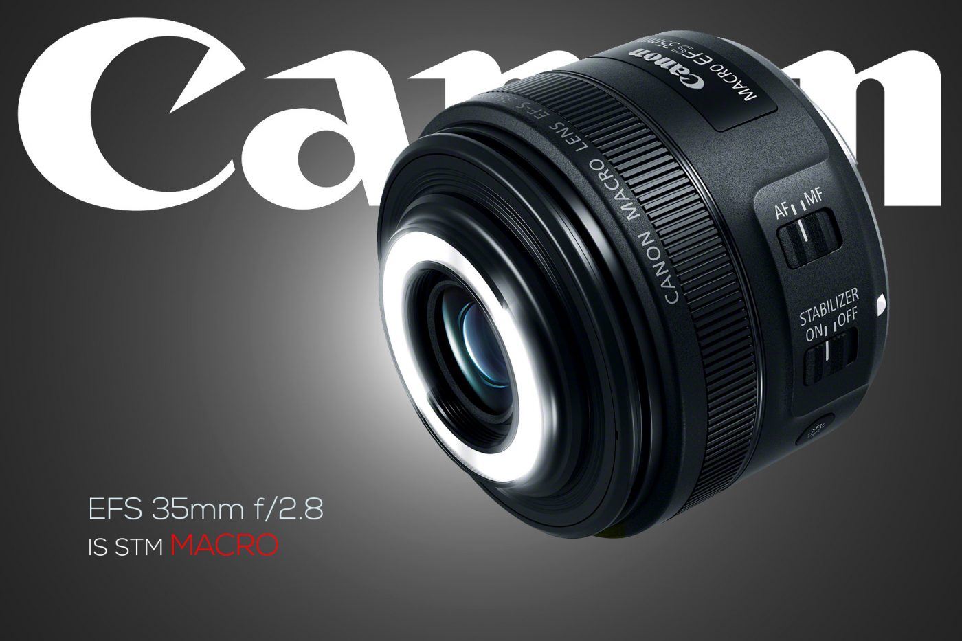 Canon 35mm f/2.8 IS STM Macro lens