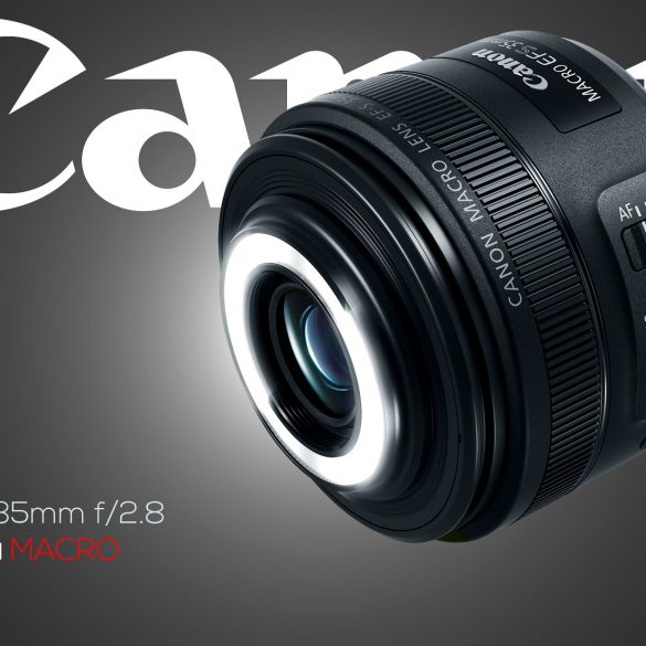 Canon 35mm f/2.8 IS STM Macro lens