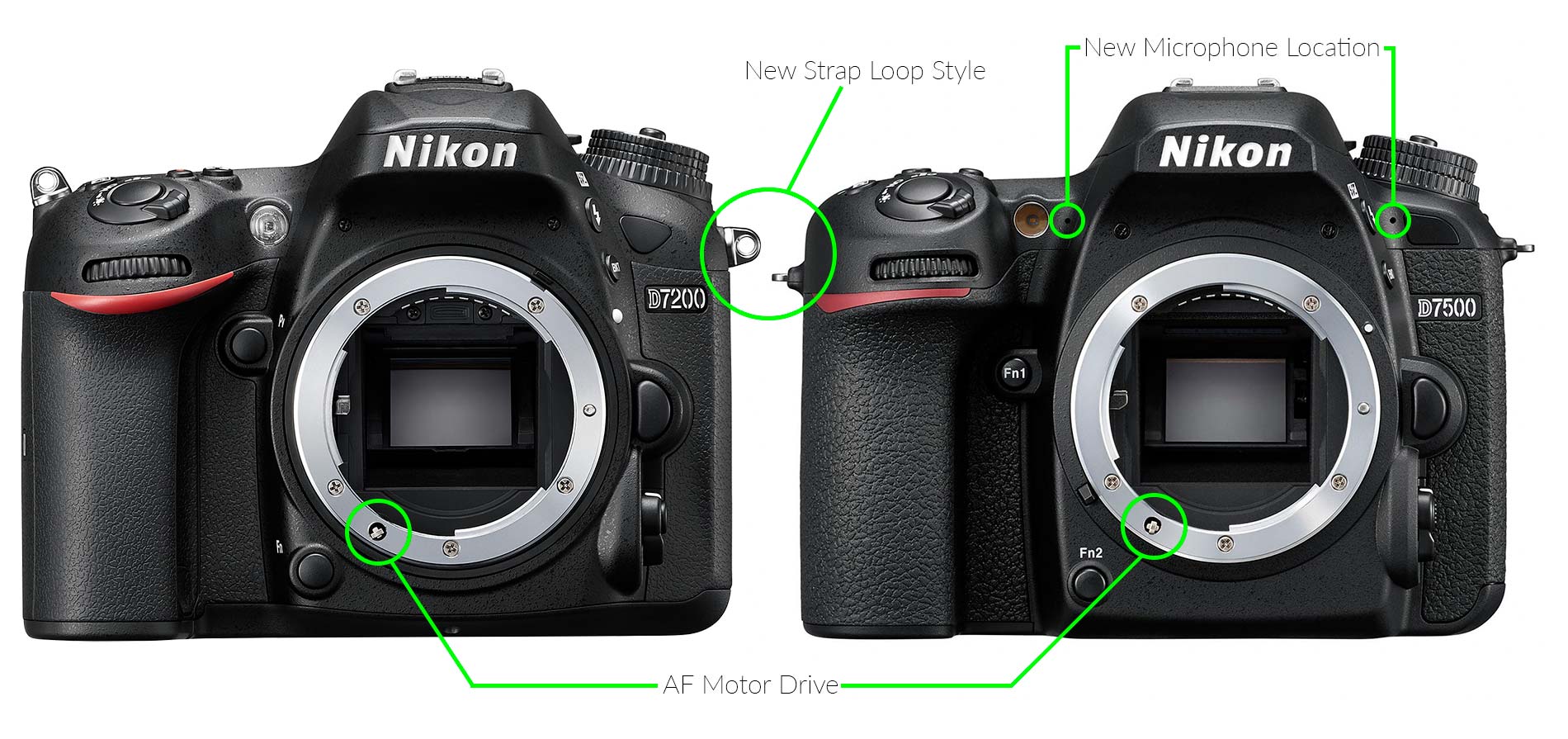 D7500 vs D7200: What's the Difference? - Light And Matter