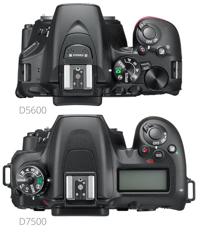 Overhead view of Nikon D5600 and D7500.