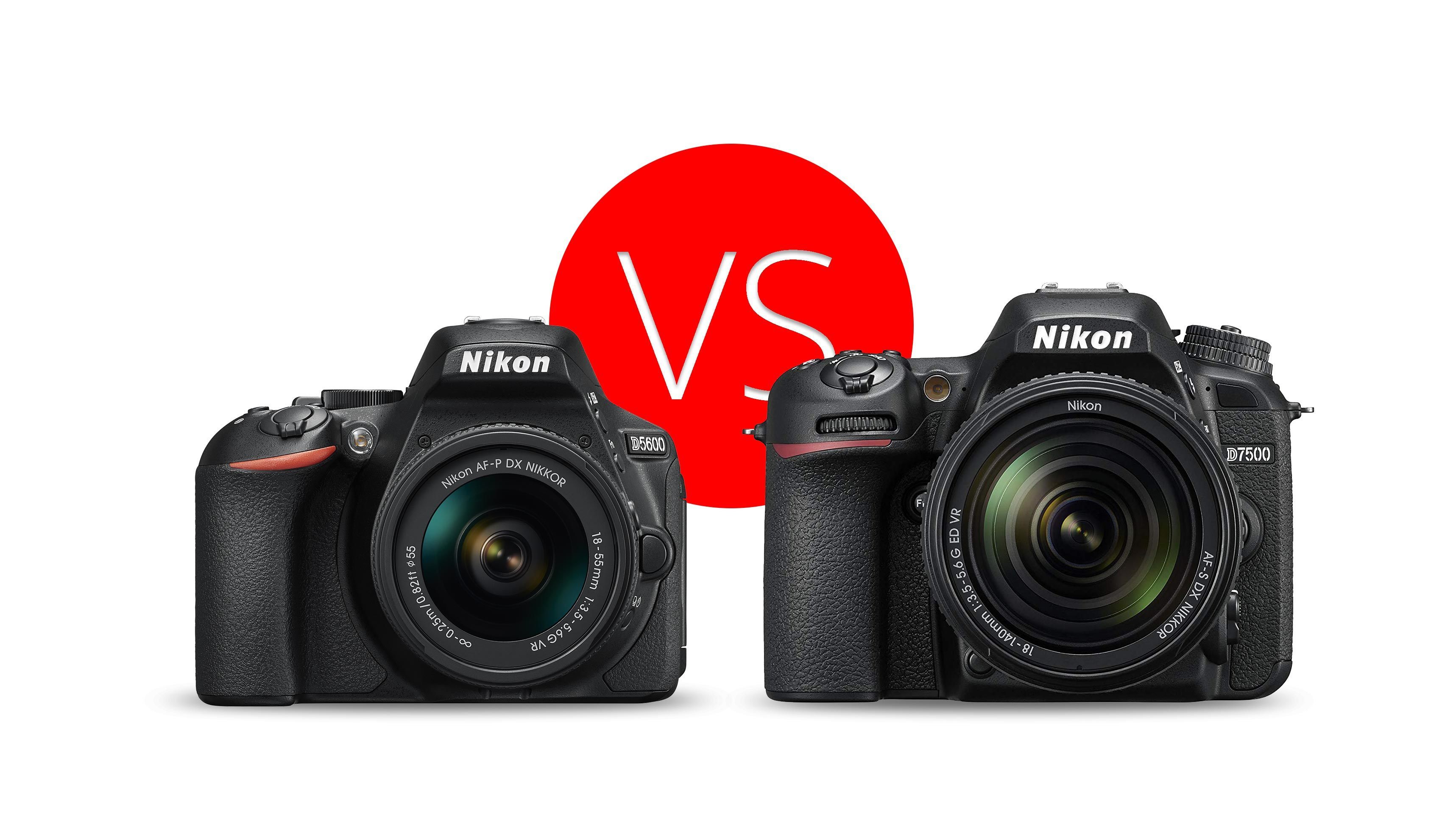 Nikon D5600 vs D7500: Which Should You Buy? - Light And Matter
