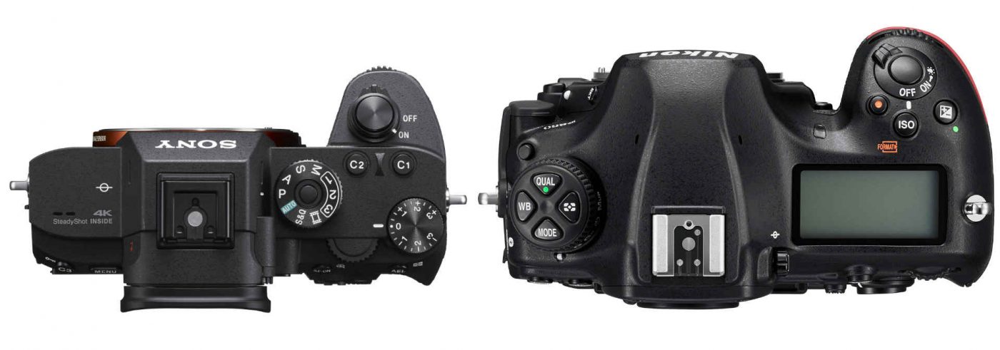 Sony A7R III vs Nikon D850: Which Should You Buy? - Light And Matter