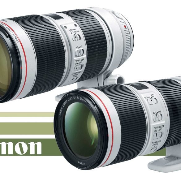 Canon EF 70-200 f/2.8L IS III and f/4L IS II Banner