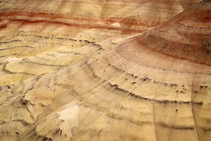 painted hills from the overlook trail