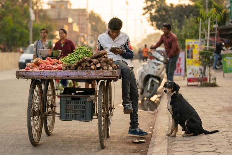 A dog begs from a boy with a vegetable cart