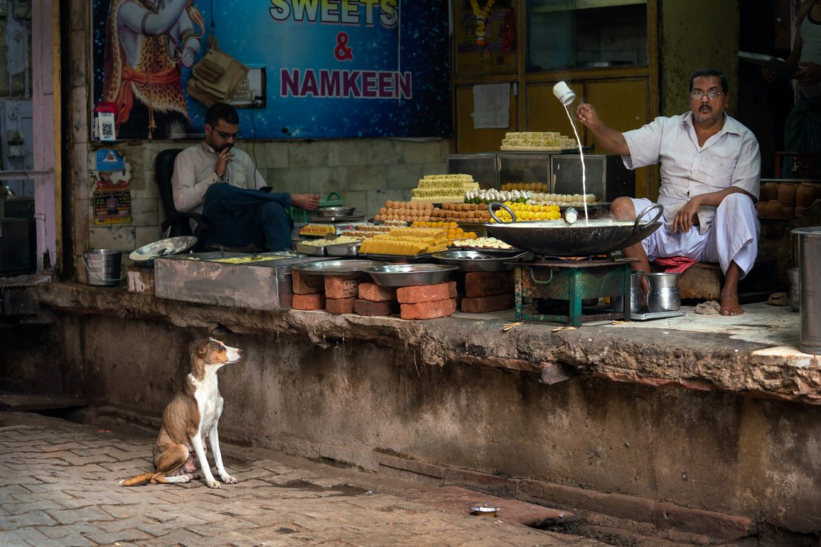 A dog stares longingly at a man pouring sweet milk