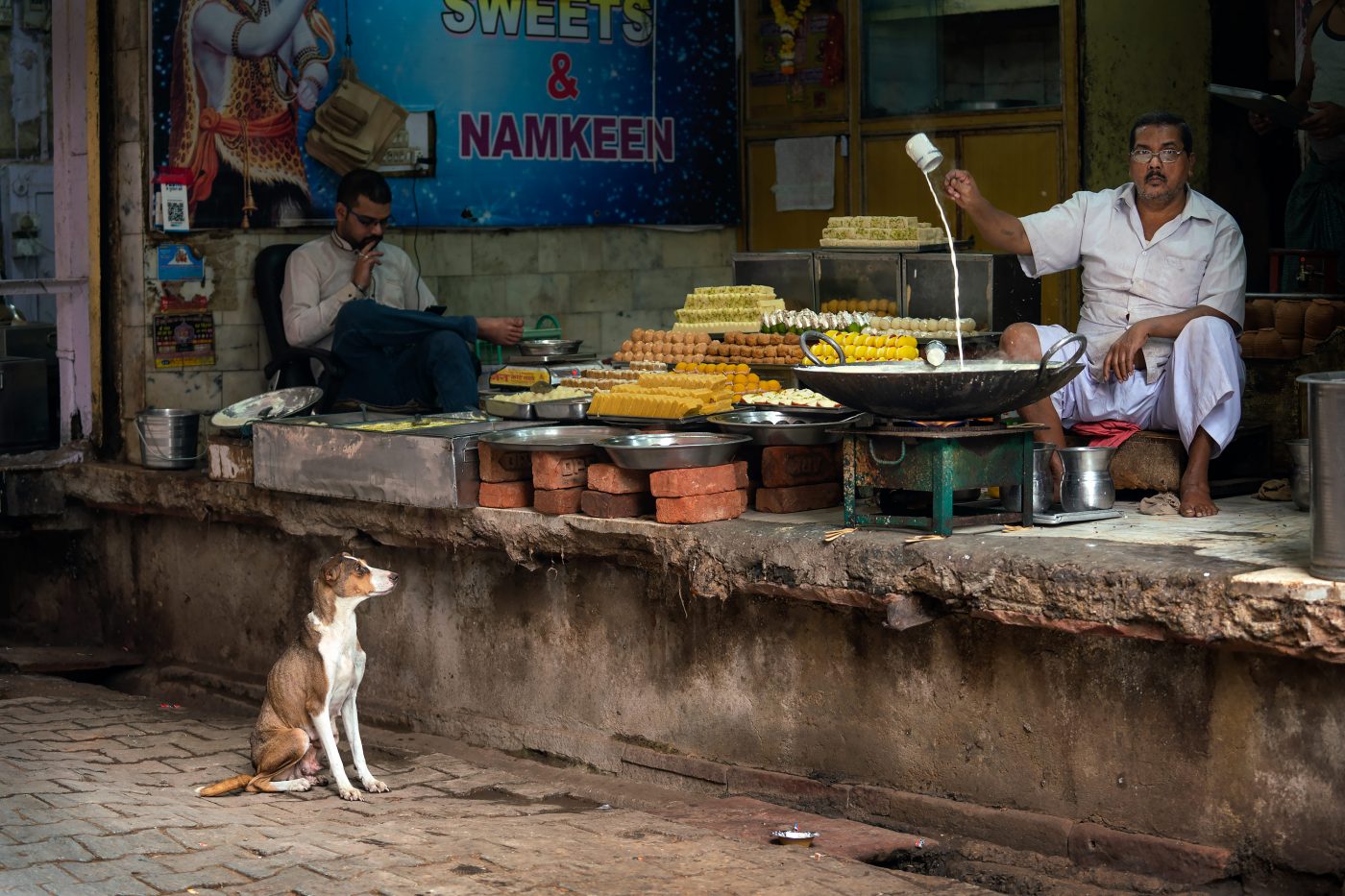 A dog stares longingly at a man pouring sweet milk