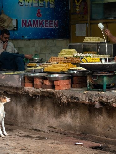 A dog stares longingly at a man pouring sweet milk