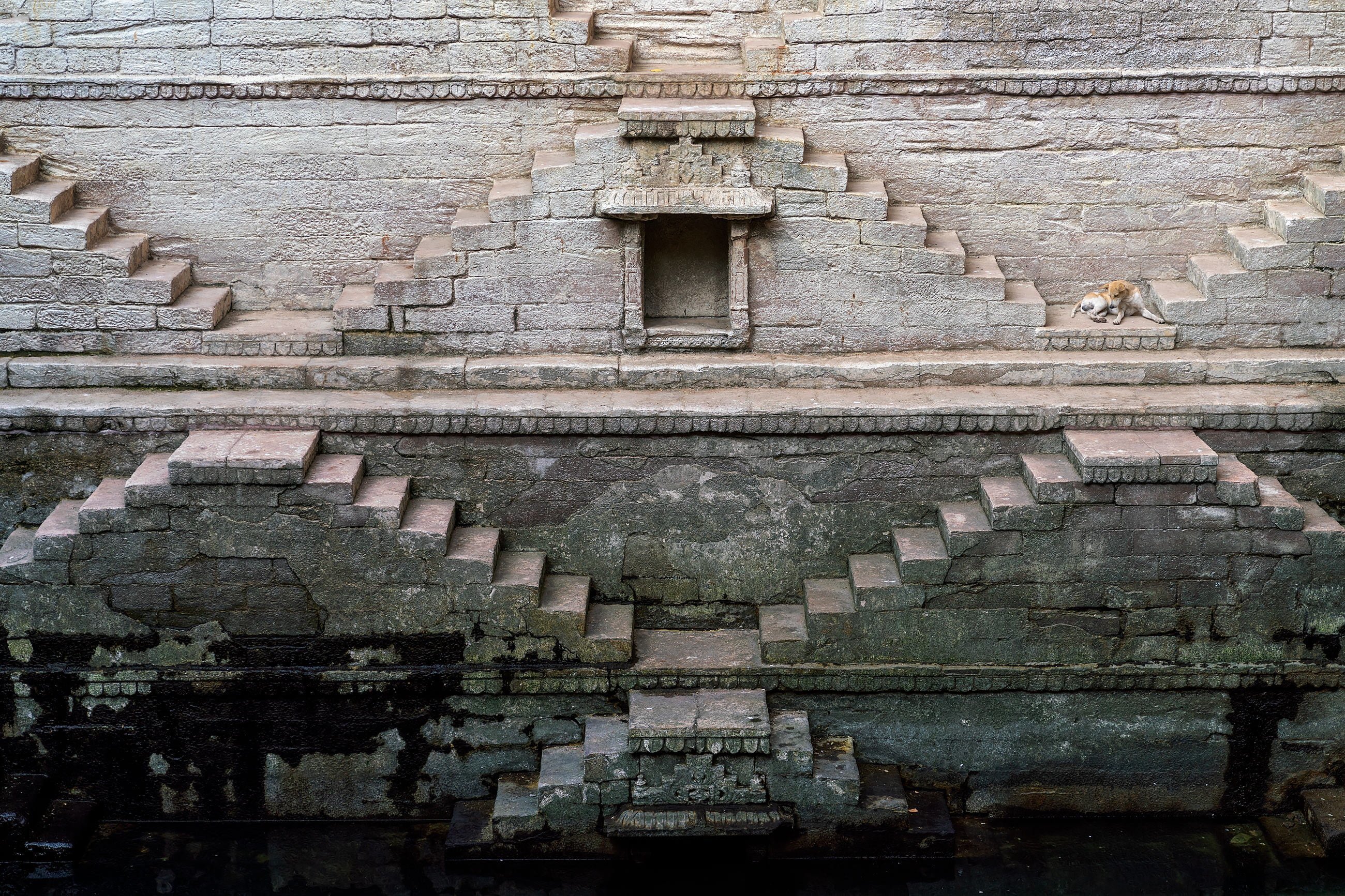 A dog lying on a stepwell platform in Jodhpur, India