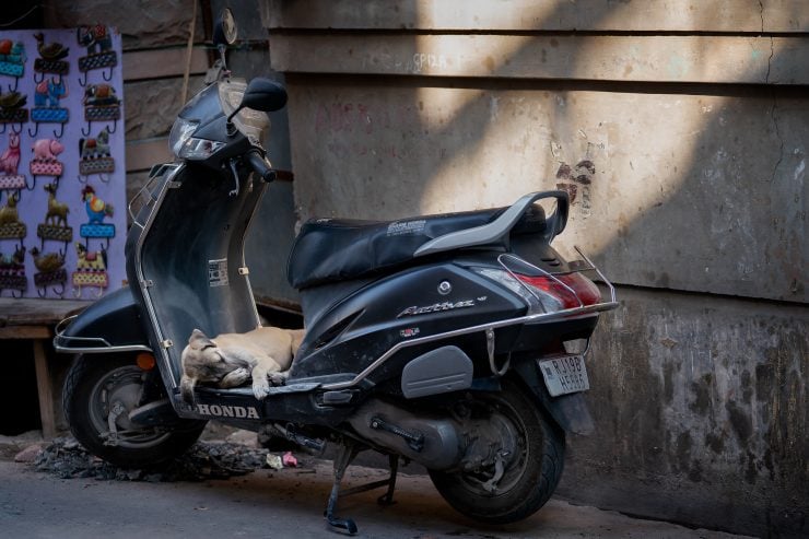 A puppy sleeping on a moped platform