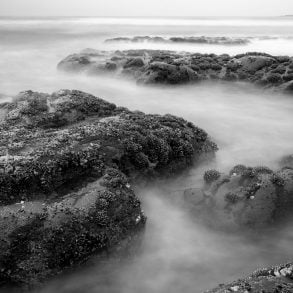Kalaloch Beach #4 Tide Pools