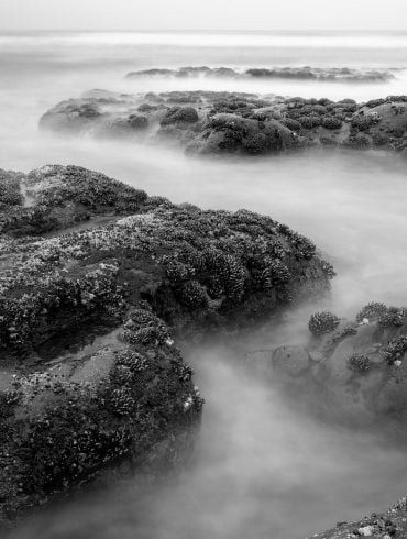 Kalaloch Beach #4 Tide Pools