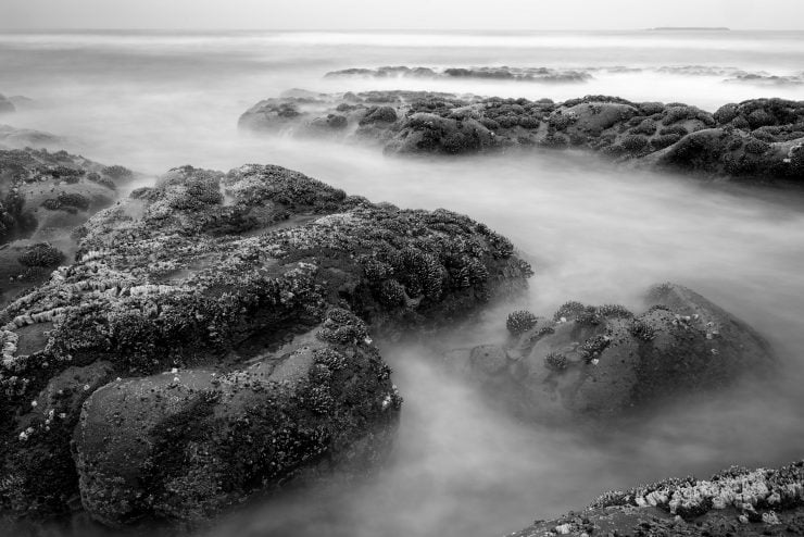 Kalaloch Beach #4 Tide Pools