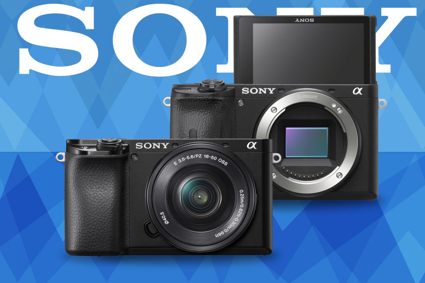 Sony a6600 and a6100 product photos on blue background