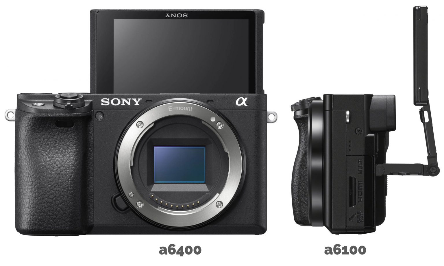 Sony a6100 vs a6400 Which Should You Buy? Light And Matter