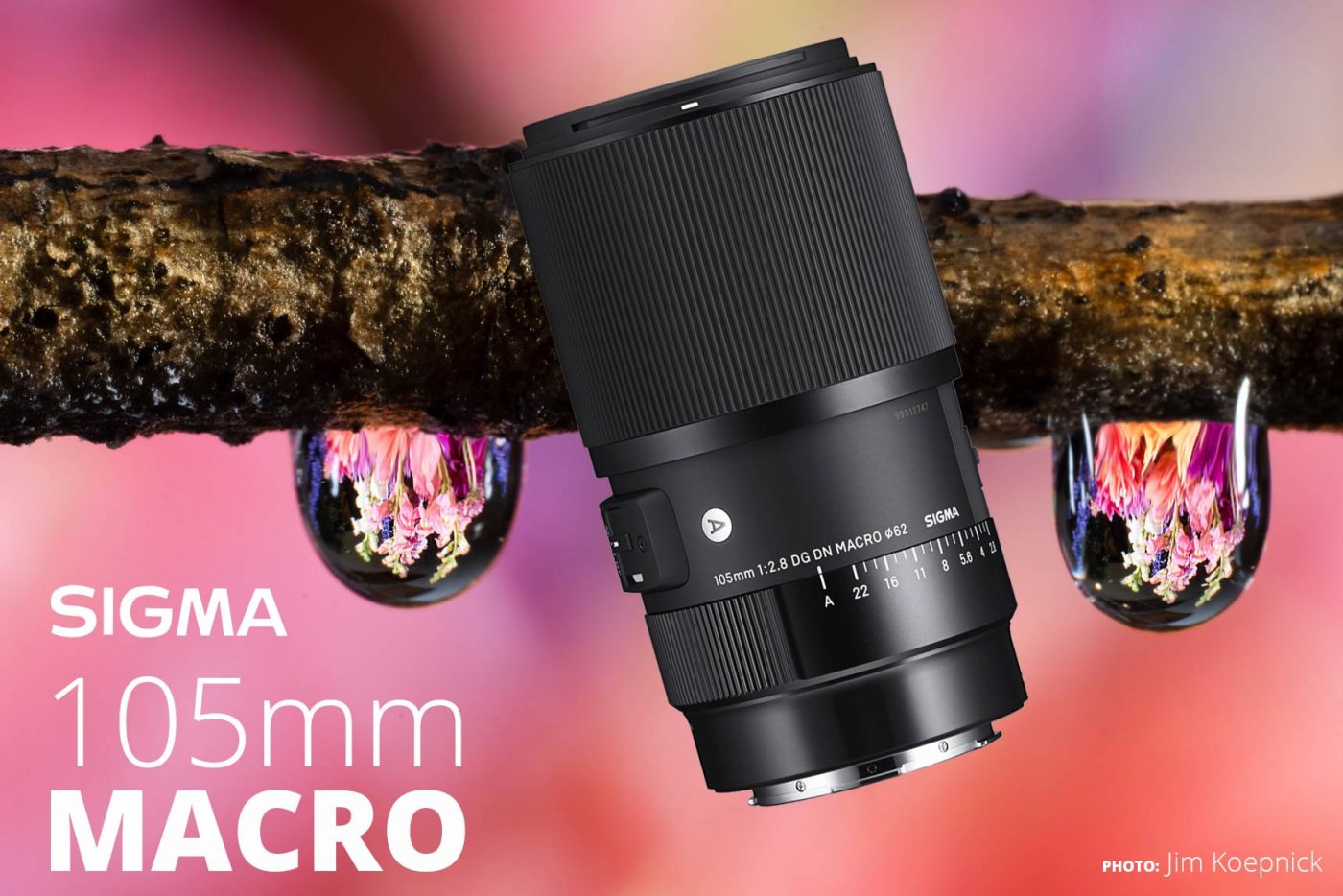 Sigma Announces 105mm f/2.8 1:1 Macro Mirrorless -