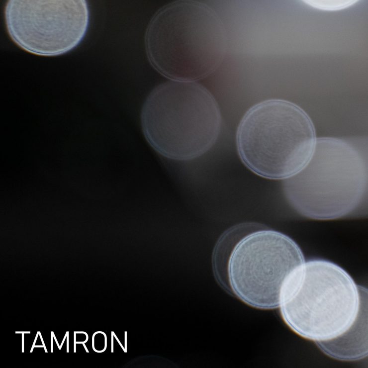 Sigma 24-70 f/2.8 ART vs Tamron 28-75 for Sony - Light And Matter