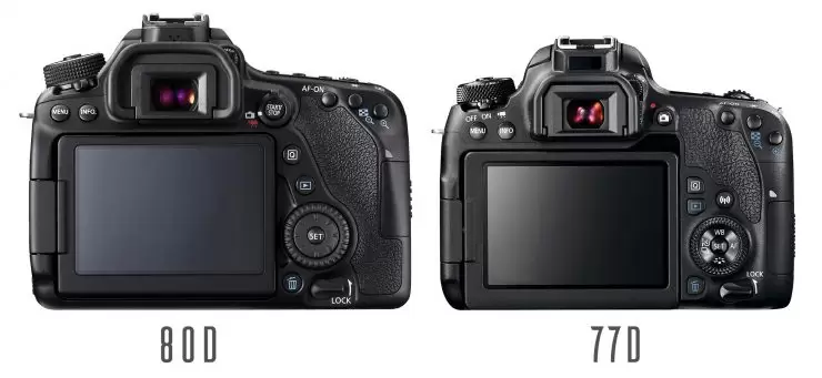 Tumult Produktion Øl Canon 77D vs 80D: Which Should You Buy? - Light And Matter